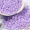 Glass Frosted Seed Beads SEED-K009-05B-04-1