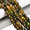 Natural Agate Beads Strands G-B079-E01-01F-1
