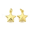 Brass Pendants KK-I275-09G-02-1