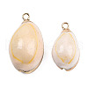 Electroplate Cowrie Shell Pendants SSHEL-S261-11-5