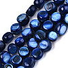 Natural Freshwater Shell Beads Strands X-SHEL-S276-110B-02-1