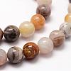 Natural Bamboo Leaf Agate Beads Strands G-F364-02-8mm-3