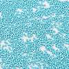 Baking Paint Glass Seed Beads SEED-S042-15B-34-3
