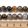 Natural Agate Beads Strands G-M437-B01-03-4