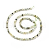 Natural Prehnite Beads Strands G-C009-A20-3
