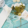 Polyester Organza Ribbons SRIB-WH20020-004B-4