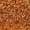 Glass Seed Beads X1-SEED-S042-04A-11-3