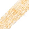 Natural Citrine Beads Strands G-P457-B01-05-1