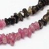 Chips Natural Tourmaline Beads Strands G-N0164-04A-2