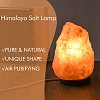 Natural Himalayan Rock Salt Lamp DJEW-P002-01B-6