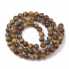 Natural Tiger Eye Beads Strands G-S281-55-6mm-2