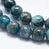 Natural Apatite Beads G-E481-05-10mm-3