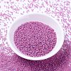 MIYUKI Delica Beads SEED-X0054-DB2048-2