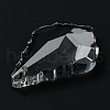 Transparent Glass Pendants GLAA-R223-16-3