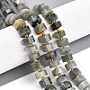 Natural Labradorite Beads Strands G-T140-34-1