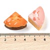Resin Imitation Food Decoden Cabochons CRES-I034-01-3