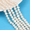 Natural Cultured Freshwater Pearl Beads Strands PEAR-P064-20B-05A-1