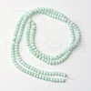 Dyed Natural Freshwater Shell Rondelle Bead Strands BSHE-O016-19B-2