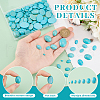   160Pcs 7 Sizes Synthetic Turquoise Cabochons G-PH0002-69A-3