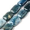 Natural Apatite Beads Strands G-Q026-B01-03-1