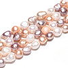 Natural Cultured Freshwater Pearl Beads Strands PEAR-N014-09A-01-5