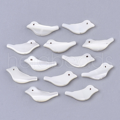 Natural Trochid Shell/Trochus Shell Beads SSHEL-T014-05-1