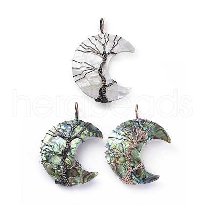 Natural Shell Wire Wrapped Pendants SSHEL-L015-16-1