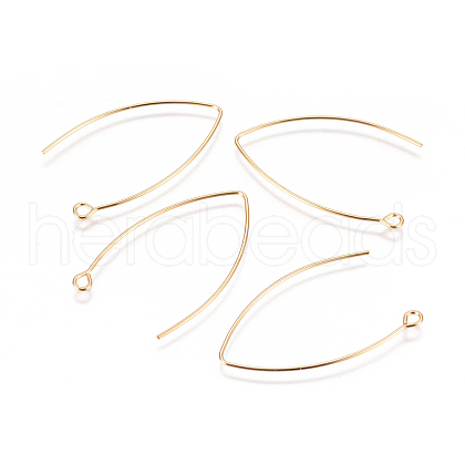 304 Stainless Steel Earring Hooks STAS-F227-26B-G-1