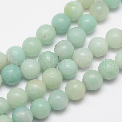 Round Natural Amazonite Bead Strands G-I183-02-10mm-1