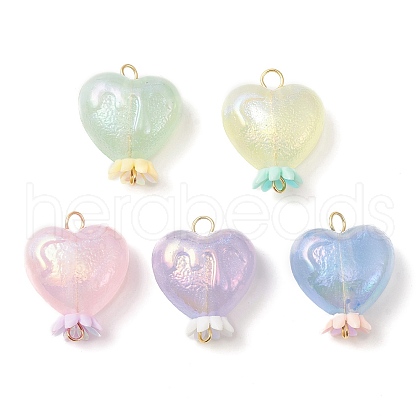 Luminous Acrylic Connector Charms PALLOY-JF02204-1