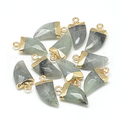 Natural Labradorite Pointed Pendants X-G-Q966-02-1