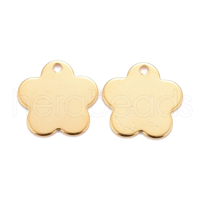 201 Stainless Steel Pendants STAS-K217-19A-G-1