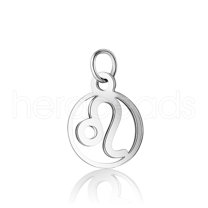 Non-Tarnish 304 Stainless Steel Charms STAS-T036-T513-A5-1