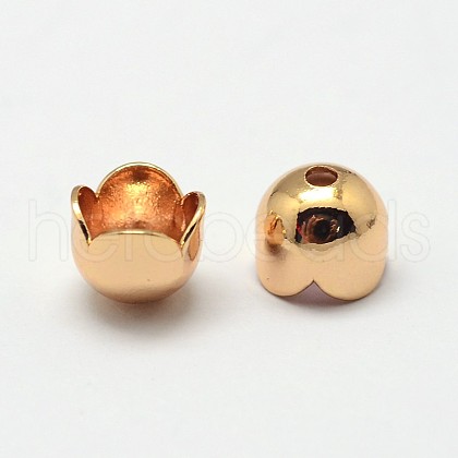 Flower Grade AAA Brass Bead Caps KK-O093-16-NR-1