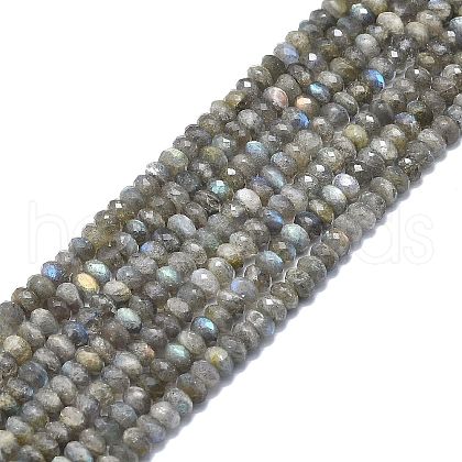 Natural Labradorite Beads Strands G-F715-080-1
