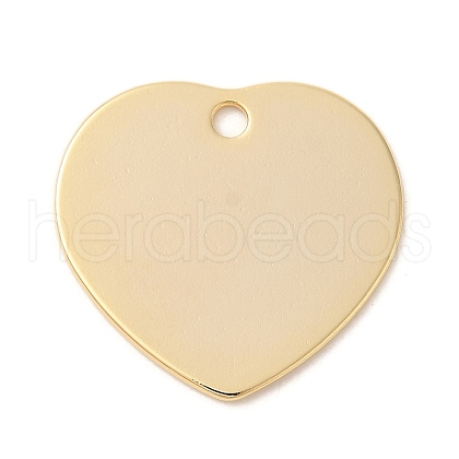 Ion Plating(IP) 304 Stainless Steel Stamping Blank Tag Pendants STAS-U025-10G-1