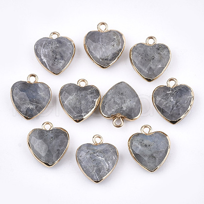 Electroplate Natural Labradorite Pendants X-G-T112-03A-1