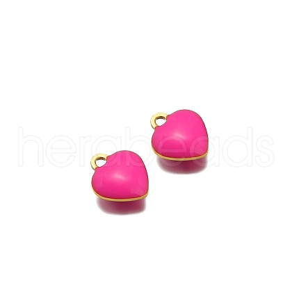 Stainless Steel Charms PW-WG0E535-01-1