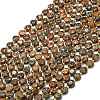 Natural Starburst Jasper Beads Strands G-C116-A40-02-2