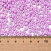 Baking Paint Luster Glass Seed Beads X1-SEED-B001-04A-07-4