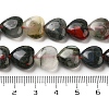 Natural African Bloodstone Beads Strands G-B022-35C-5