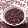 Transparent Glass Seed Beads SEED-S042-21B-03-2