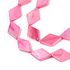 Dyed Natural Freshwater Shell Beads Strands SHEL-T020-13G-3