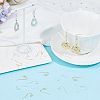 SOFPLATE 300Pcs 2 Colors Brass Earring Hooks KK-SP0001-36-4