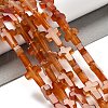 Natural Red Agate(Dyed & Heated) Beads Strands G-I337-A02-02-1