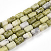 Natural Jade Beads Strands G-N346-01B-13-2
