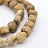 Natural Picture Jasper Bead Strands G-P070-19-1