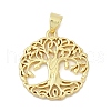 Brass Pendants KK-D317-114G-1