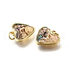 Natural Paua Shell & Epoxy Resin Charms KK-E794-02G-03-2