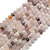 Natural Quartz Beads Strands G-P573-A07-01-2
